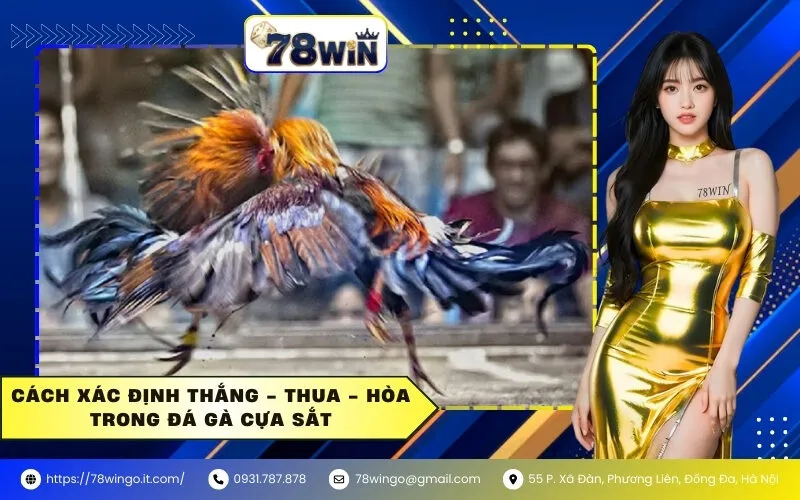 Cách Xác Định Thắng - Thua - Hòa Trong Đá Gà Cựa Sắt