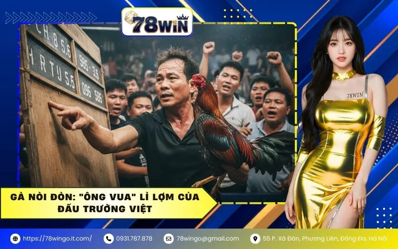 Gà Nòi Đòn: "Ông Vua" Lì Lợm Của Đấu Trường Việt