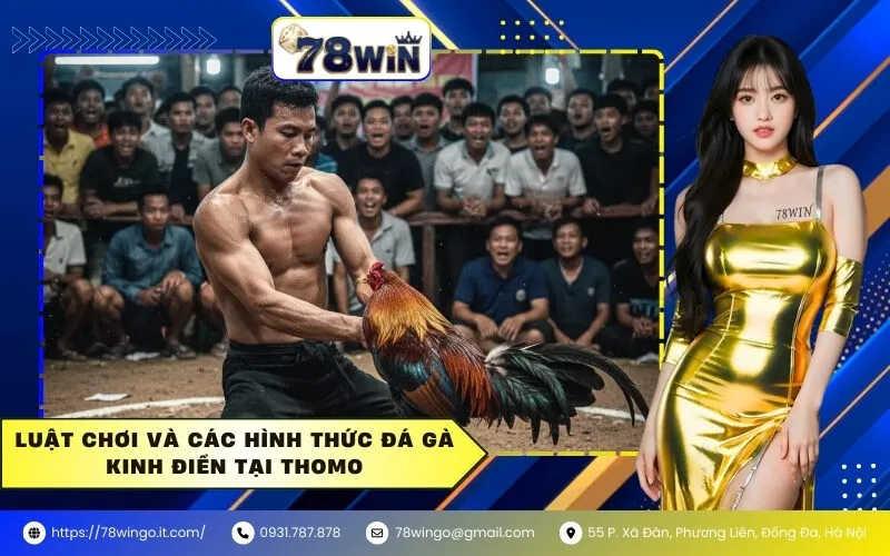 Luật chơi và các hình thức đá gà kinh điển tại Thomo