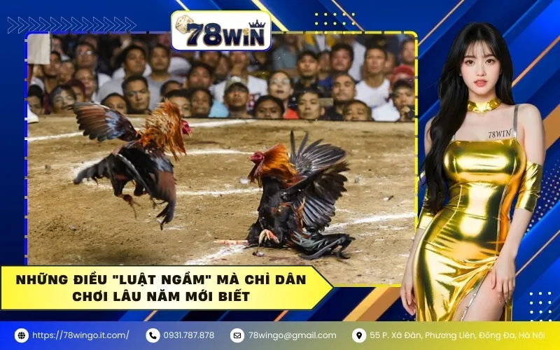 Những Điều "Luật Ngầm" Mà Chỉ Dân Chơi Lâu Năm Mới Biết