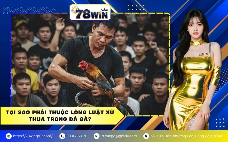 Tại Sao Phải Thuộc Lòng Luật Xử Thua Trong Đá Gà?